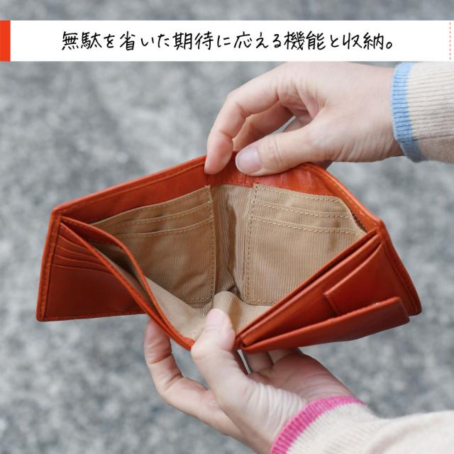 二つ折り財布 小銭入れあり カード10枚 札入れ仕切り カードたくさん