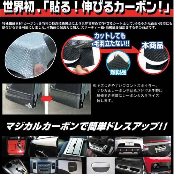マジカルカーボン ピラーセットバイザーカット ACR30系 エスティマ/ハセプロ/HASEPRO：CPT-V2_1
