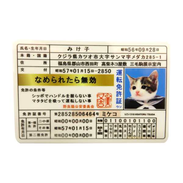 ⭐️希少品⭐️なめ猫免状等 - その他