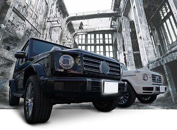 AZUTO ライセンスプレートベース ホワイト G-Class W463A 専用 ポーラーホワイト メルセデスベンツ 専用設計 ナンバー  MHG-019の通販はau PAY マーケット - ホットロードオートパーツ | au PAY マーケット－通販サイト