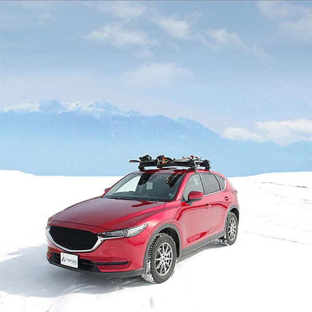 Terzo SS112S スキー＆スノーボード専用キャリア TERZO TERZO 品番