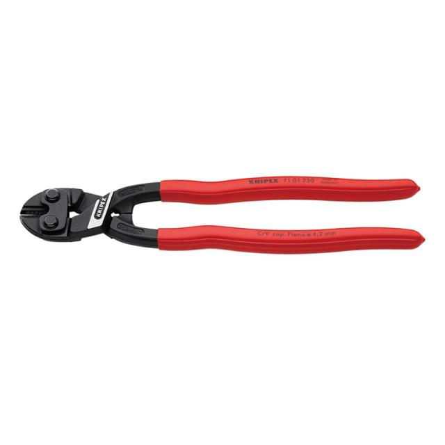 willie's ODAGIRI =・ω・= (オダギリニャン)α