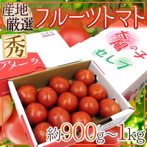 ”フルーツトマト” 約900g〜1kg アメーラ・ブリックスナイン・太陽の子セレブのいずれかでお届け【予約 入荷次第発送】｜au PAY マーケット