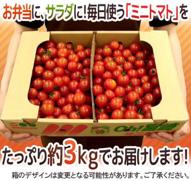 緊急スポット ミニトマト かなり訳あり 約3kg 大きさおまかせ プチトマト 茨城産 熊本産 北海道産など産地厳選 2週間以内の発送の通販はau Pay マーケット くらし快援隊