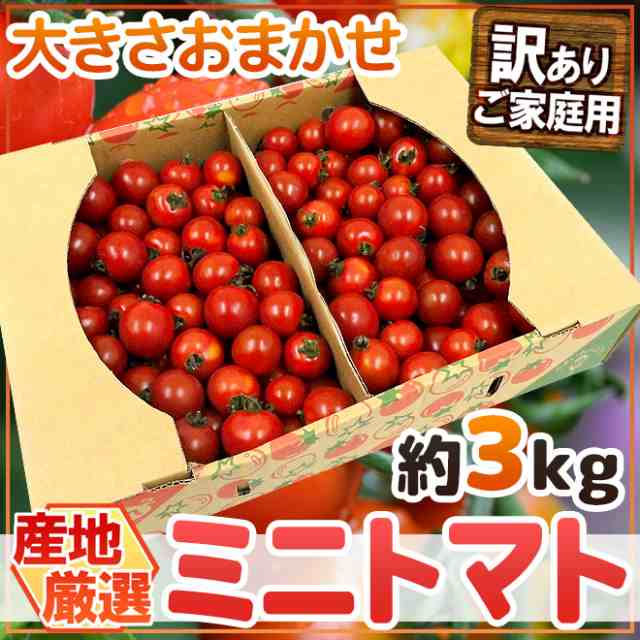 産地厳選 ”ミニトマト” 訳あり 約3kg 大きさおまかせ プチトマト 茨城産/熊本産/北海道産など【予約 入荷次第発送】 送料無料｜au PAY  マーケット