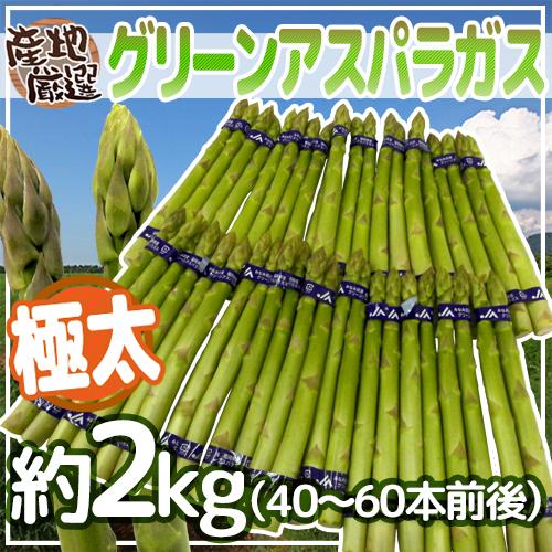 ”極太グリーンアスパラガス” 40〜60本前後 約2kg 北海道/長野/広島/佐賀/福岡 など産地厳選【予約 4月以降】 送料無料