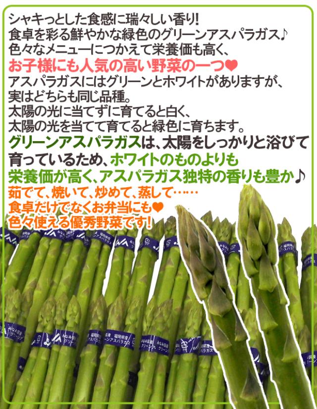 ”極太グリーンアスパラガス” 40〜60本前後 約2kg 北海道/長野/広島/佐賀/福岡 など産地厳選【予約 4月以降】 送料無料_2