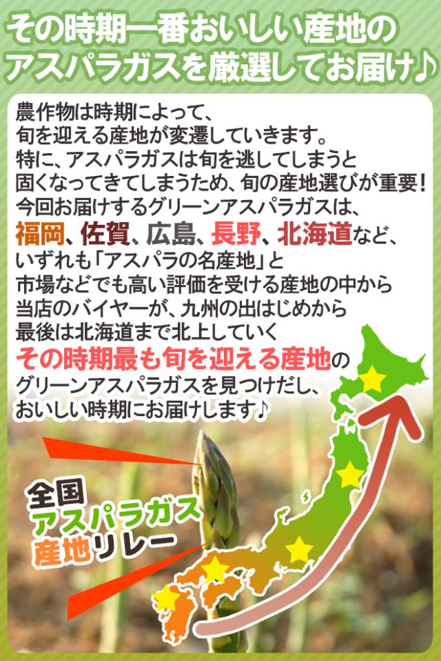 ”極太グリーンアスパラガス” 40〜60本前後 約2kg 北海道/長野/広島/佐賀/福岡 など産地厳選【予約 4月以降】 送料無料_3