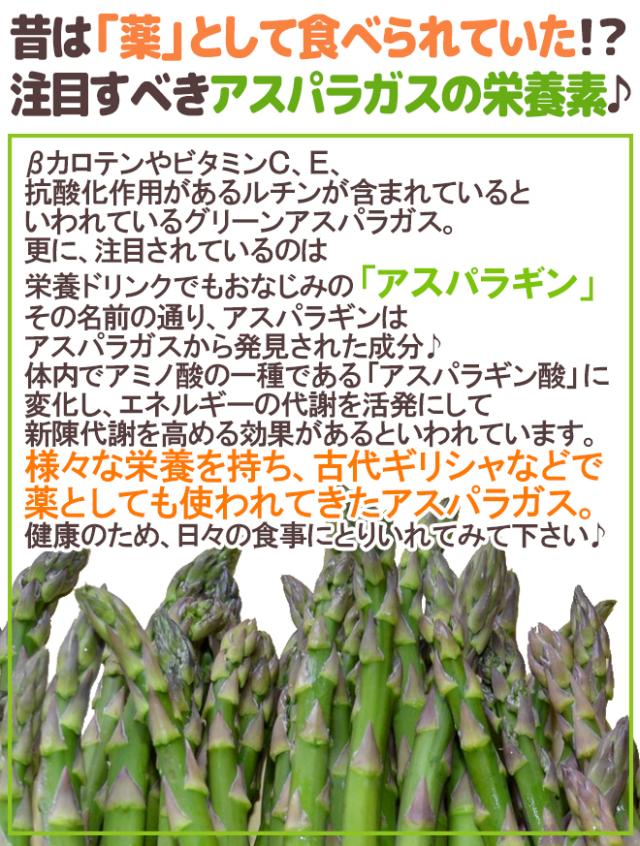 ”極太グリーンアスパラガス” 40〜60本前後 約2kg 北海道/長野/広島/佐賀/福岡 など産地厳選【予約 4月以降】 送料無料_4