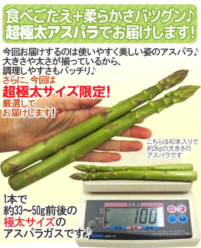 ”極太グリーンアスパラガス” 40〜60本前後 約2kg 北海道/長野/広島/佐賀/福岡 など産地厳選【予約 4月以降】 送料無料_7