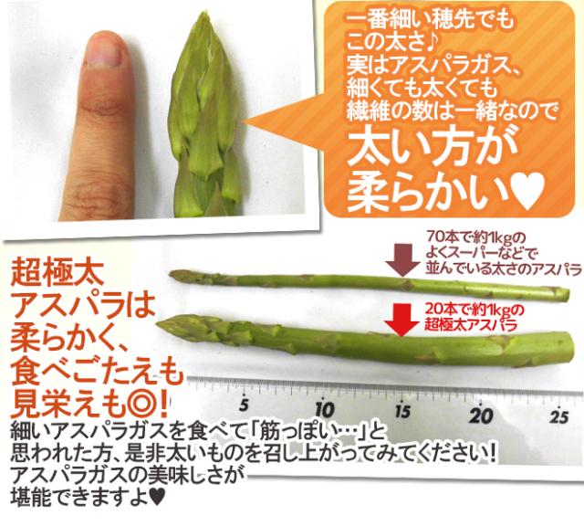 ”極太グリーンアスパラガス” 40〜60本前後 約2kg 北海道/長野/広島/佐賀/福岡 など産地厳選【予約 4月以降】 送料無料_8
