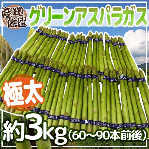 ”極太グリーンアスパラガス” 60〜90本前後 約3kg 北海道/長野/広島/佐賀/福岡 など産地厳選【予約 4月以降】 送料無料