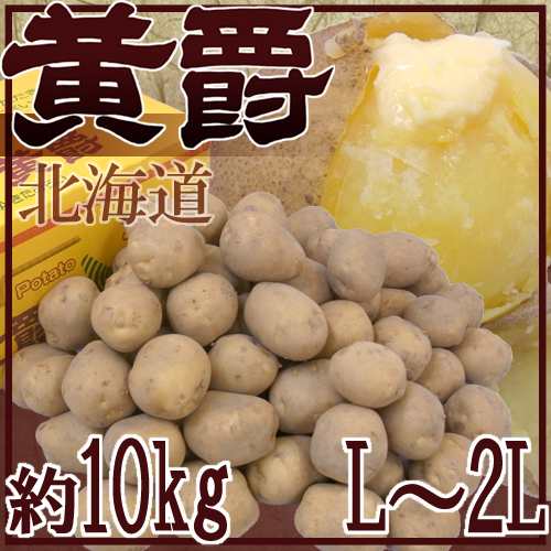 北海道 北見産 じゃがいも ”黄爵” 秀品 大玉L〜2Lサイズ 約10kg 男爵芋【予約 8月末以降】 送料無料の通販はau PAY マーケット  くらし快援隊 au PAY マーケット－通販サイト