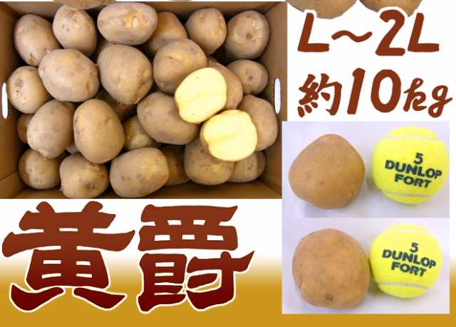 北海道 北見産 じゃがいも ”黄爵” 秀品 大玉L～2Lサイズ 約10kg 男爵芋【予約 8月末以降】 送料無料の通販はau PAY マーケット -  くらし快援隊