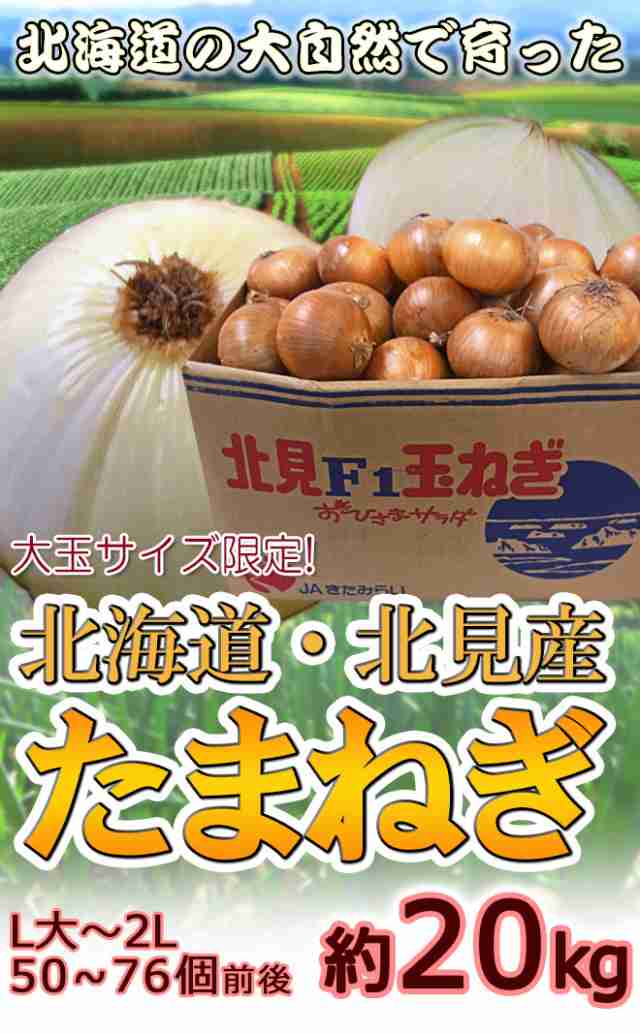 8月末以降】　玉葱【予約　マーケット－通販サイト　au　秀品　”たまねぎ”　くらし快援隊　約20kg　PAY　PAY　大玉L〜LLサイズ　送料無料の通販はau　北見F1　北海道　マーケット