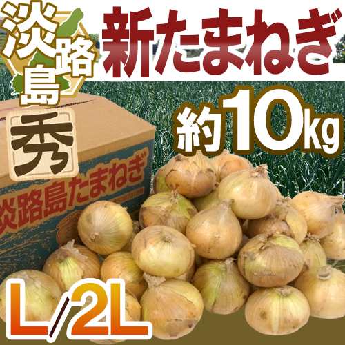 兵庫県 淡路島産 ”新たまねぎ” 秀品 L 2L 約10kg 送料無料