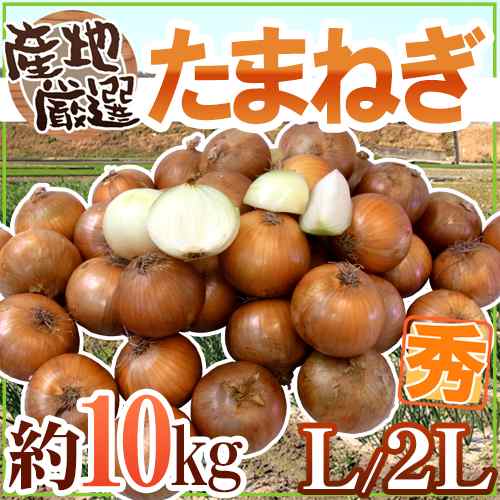 たまねぎ” 秀品 L/2Lサイズ 約10kg 九州・四国・淡路・北海道 産地厳選【予約 入荷次第発送】 送料無料の通販はau PAY マーケット  くらし快援隊 au PAY マーケット－通販サイト