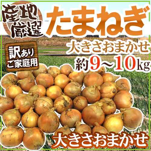 たまねぎ” 訳あり 約9〜10kg 大きさおまかせ 検品なし 九州・四国