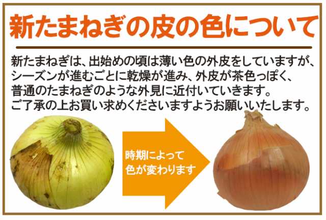 兵庫県 淡路島産 ”新たまねぎ” 秀品 L/2L 約5kg【予約 4月末以降