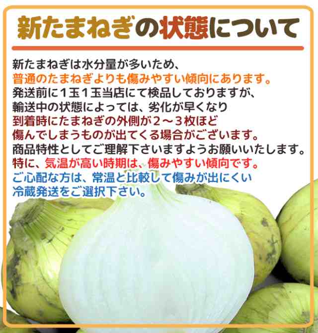 淡路島産新玉ねぎ訳あり - 野菜