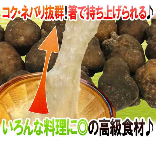 送料無料 産地厳選 つくね芋 山の芋 2 4玉前後 約1kg 山芋 大和芋 やまいも 予約 11月以降 の通販はau Pay マーケット くらし快援隊