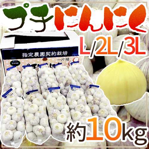 ”プチにんにく” L/2L/3L 約10kg 送料無料