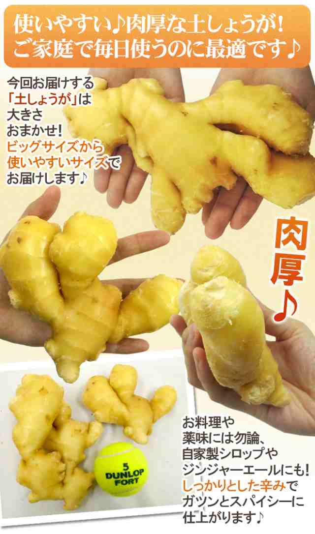 土しょうが” 約4kg 肉厚！！土生姜/老生姜/ひね生姜/古根ショウガ/中国産 送料無料の通販はau PAY マーケット - くらし快援隊