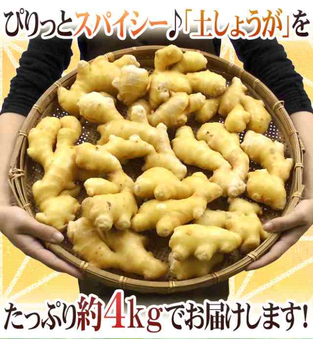 土しょうが” 約4kg 肉厚！！土生姜/老生姜/ひね生姜/古根ショウガ/中国産 送料無料の通販はau PAY マーケット - くらし快援隊