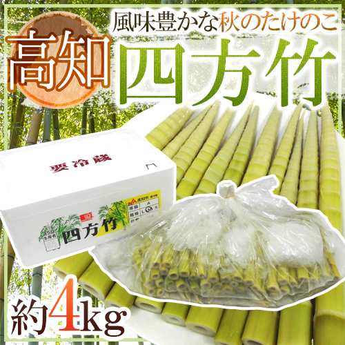 高知産 ”四方竹” 秀品 S/M/L 約4kg たけのこ【予約 10月以降】 送料無料