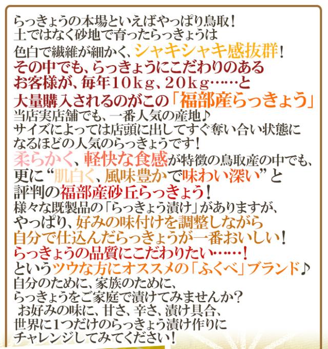 洗いらっきょう 鳥取 JAいなば 福部産 ”砂丘らっきょう” M/Lサイズ 約10kg【予約 6月中旬以降】 送料無料_2