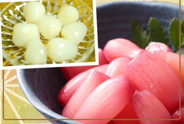 洗いらっきょう 鳥取 JAいなば 福部産 ”砂丘らっきょう” M/Lサイズ 約10kg【予約 6月中旬以降】 送料無料_3