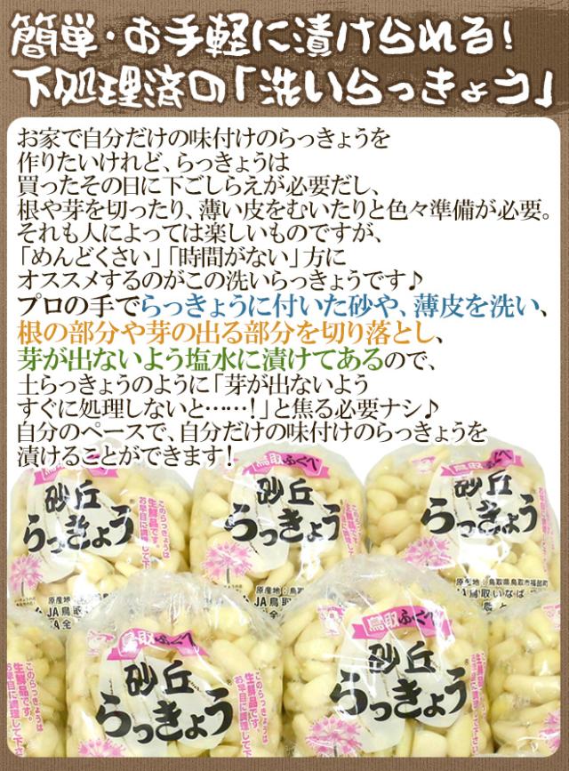 洗いらっきょう 鳥取 JAいなば 福部産 ”砂丘らっきょう” M/Lサイズ 約10kg【予約 6月中旬以降】 送料無料_4