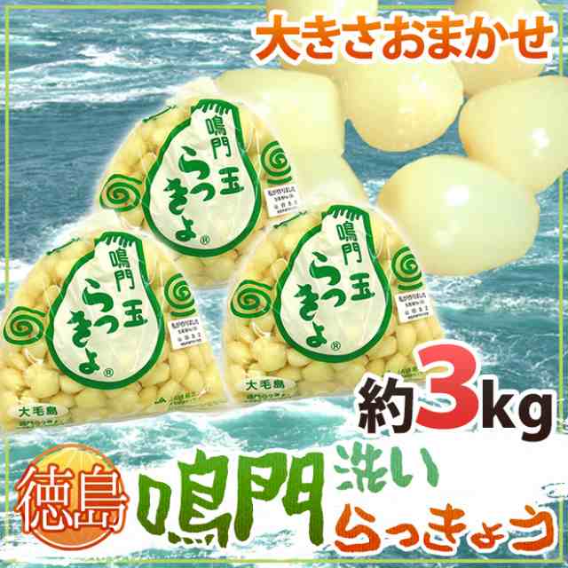 徳島 鳴門産 洗いらっきょう 秀品 約3kg 大きさおまかせ 予約 5月下旬以降 送料無料の通販はau Pay マーケット くらし快援隊