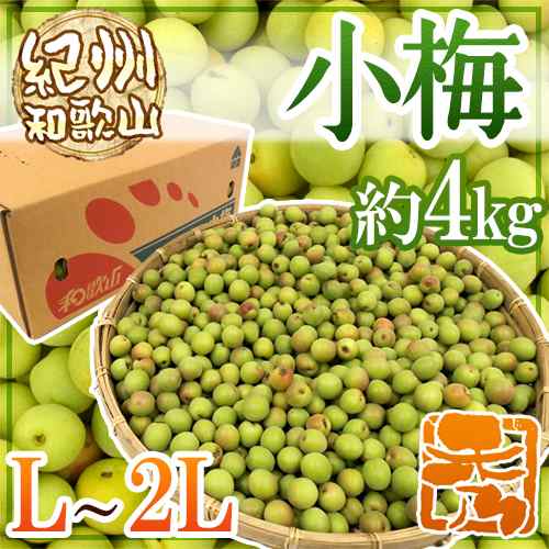 紀州・和歌山産 ”小梅” 秀品 L・2Lサイズ 約4kg 送料無料