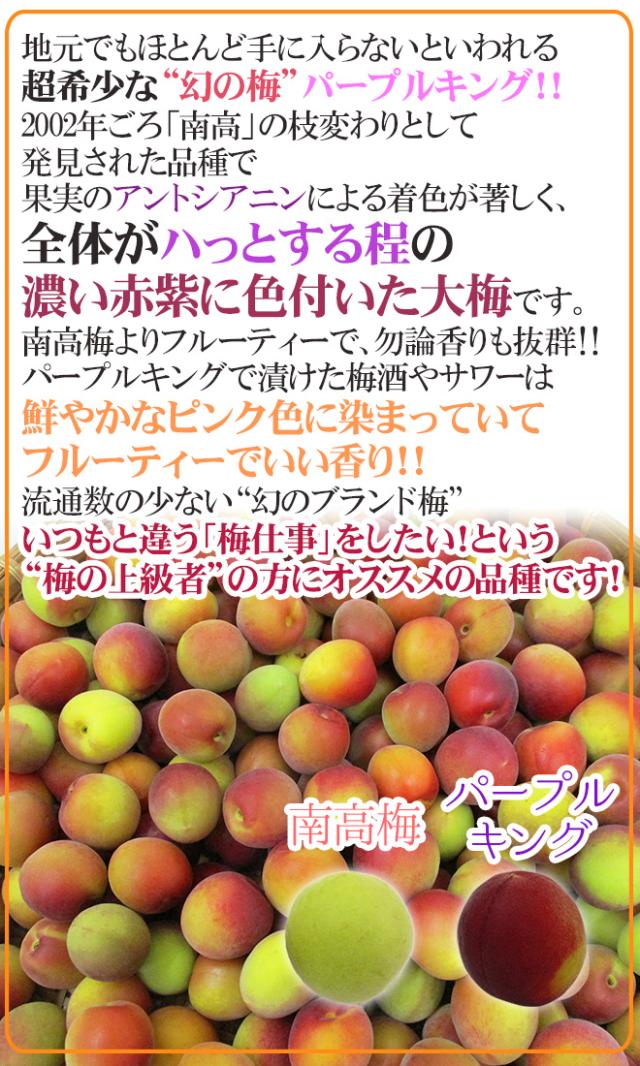 ふるさと納税 梅干し 和歌山 梅酒用 和歌山市 生青梅 和歌山県 熟南高梅 6月中旬から 7月7日頃まで順次発送 3lサイズ２ｋｇ箱