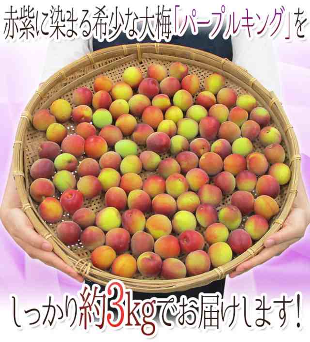 和歌山産 ”JA紀南 パープルキング” 秀品 L〜3L 約3kg 大梅 南高梅