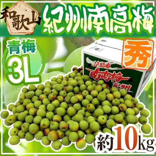 送料無料 梅干し用 紀州産南高梅 3Lサイズ 約10kg 1箱 〜和歌山県の