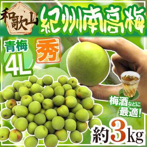 紀州・和歌山産 ”南高梅 青梅” 秀品 4L 約3kg 送料無料