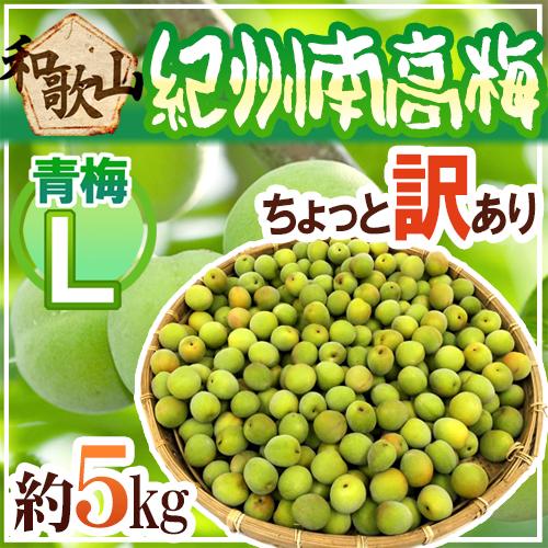 ”紀州・和歌山産 南高梅 青梅” ちょっと訳あり L 約5kg【予約 5月中旬以降】 送料無料