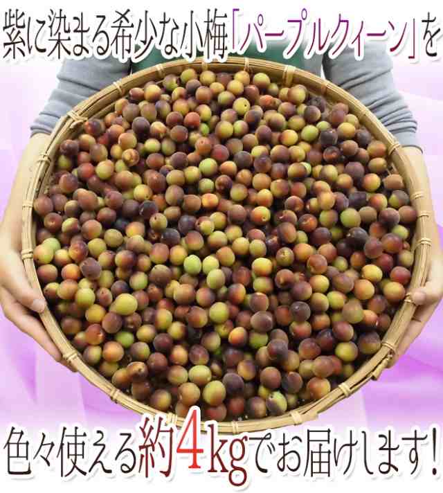 紀州・和歌山産 ”JA紀南 パープルクイーン” 秀品 L〜2L 約4kg 小梅 ...