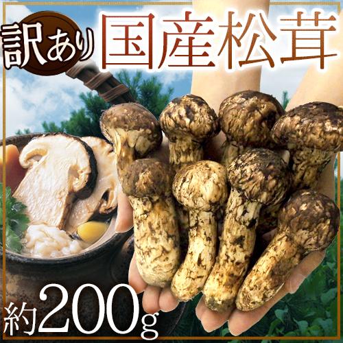松茸　北海道　700g 訳あり　送料込 松茸 北海道 700g 訳あり 送料込 楽天市場】松茸 700gの通販