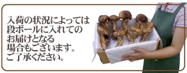 中国産 松茸” 約1kg 原体・ほんのちょっと訳あり つぼみ〜開き 大きさ