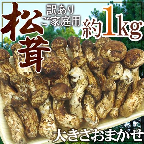 特価】ブータン産天然松茸1kg