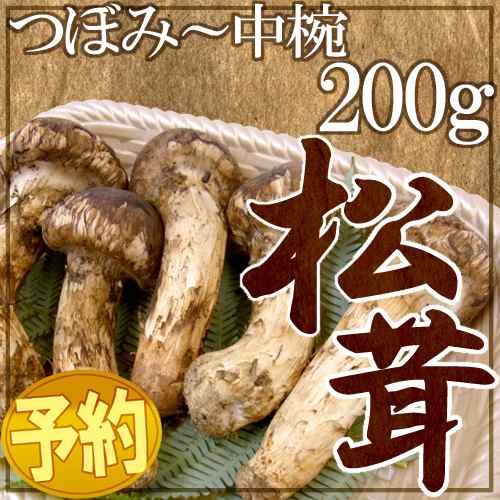 ②信州産 松茸 長野県 200g クール便（☆超目玉 長野 県 松茸の