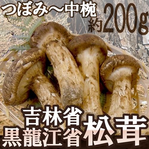”中国・吉林省産 松茸” 3〜6本前後 約200g つぼみ〜中椀【予約 8月中下旬〜9月末頃】 送料無料