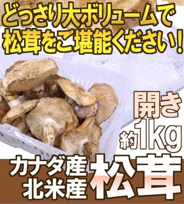 カナダ・北米産 ”松茸” 約1kg 開き 大きさおまかせ【予約 9月中下旬以降】 送料無料の通販はau PAY マーケット - くらし快援隊 | au  PAY マーケット－通販サイト