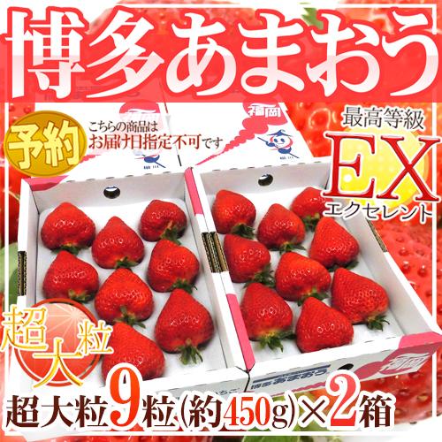 福岡産いちご ”博多あまおう” 最高等級EX（エクセレント） 2箱（超特大粒 1箱9粒 約450g）【予約 2月中旬以降】 送料無料