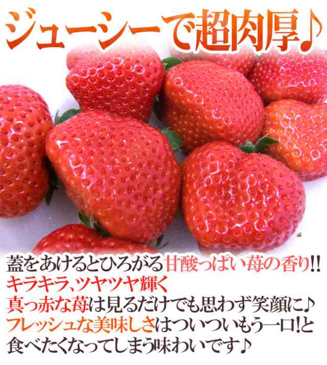 福岡産 博多 あまおういちご 等級g グランデ 1箱 2パック入り 1パック約270g 予約 1月 4月 送料無料の通販はau Pay マーケット くらし快援隊