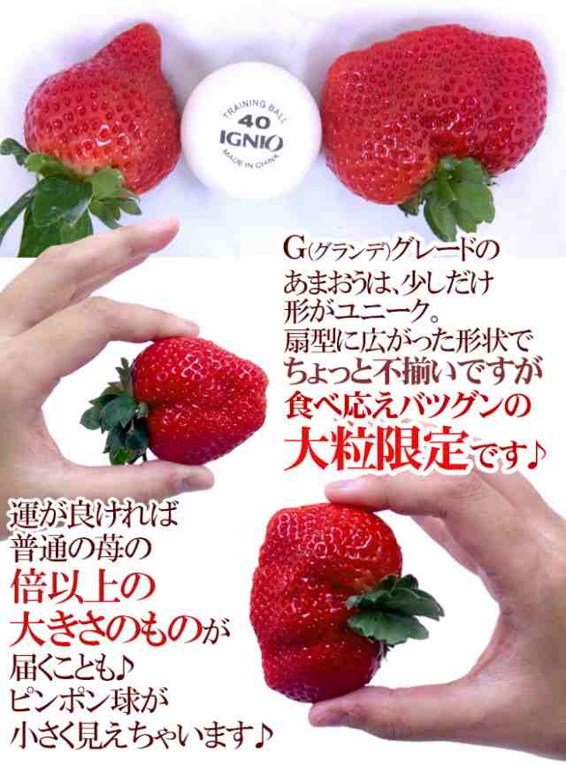 送料無料 福岡産 博多 あまおういちご 等級g グランデ 1箱 2パック入り 1パック約270g 予約 12月 4月 の通販はau Pay マーケット くらし快援隊