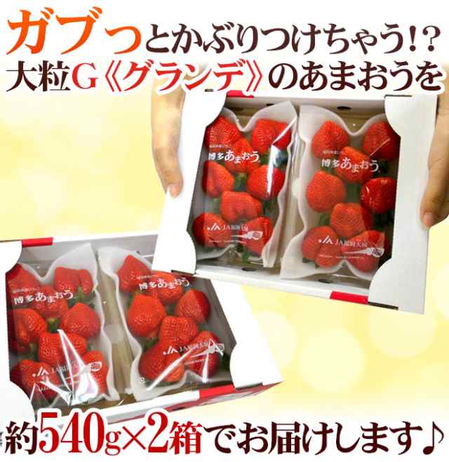 送料無料 福岡産 博多 あまおういちご 等級g グランデ 2箱 4パック入り 1パック約270g 予約 12月 4月 の通販はau Pay マーケット くらし快援隊